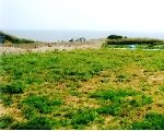 tochi.bmp